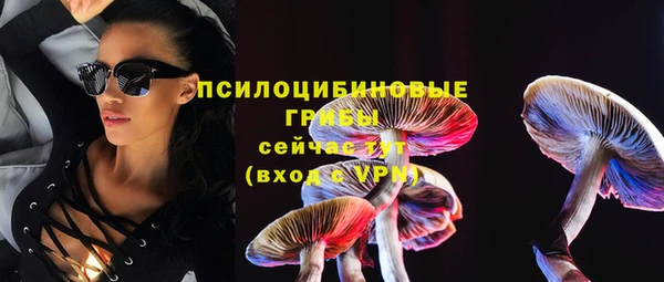 МДПВ Заволжье