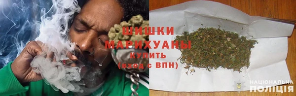 ПСИЛОЦИБИНОВЫЕ ГРИБЫ Заводоуковск