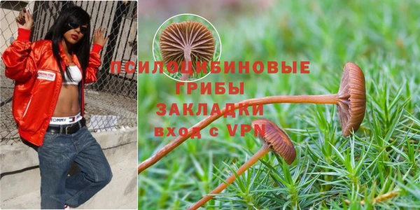 марки nbome Заволжск