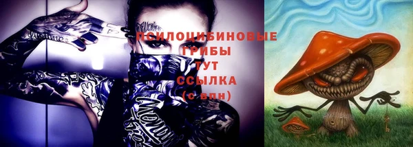 ПСИЛОЦИБИНОВЫЕ ГРИБЫ Заводоуковск