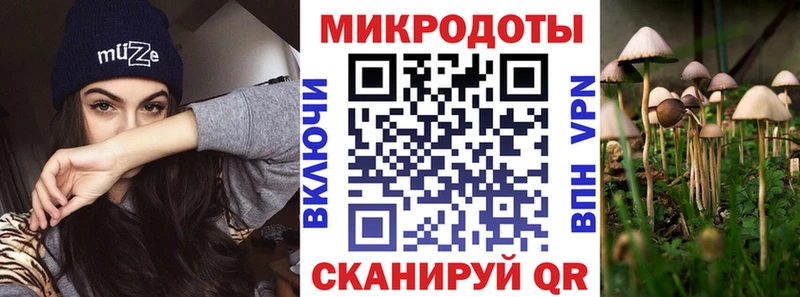 Галлюциногенные грибы мухоморы  Купить где  Инза 