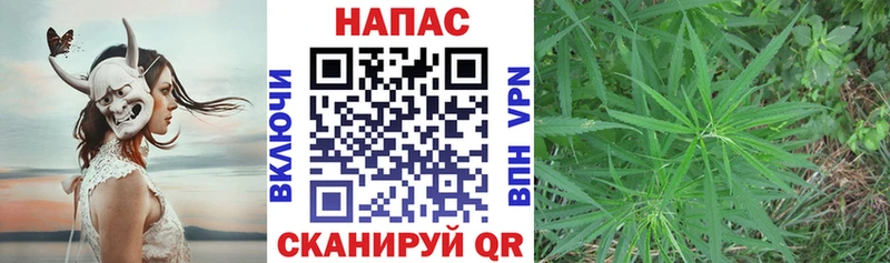 Канабис сатива  Купить  Инза 